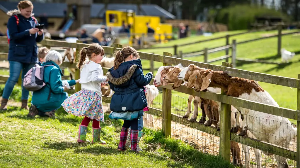 Cotswold Farm Park Lodges & Glamping